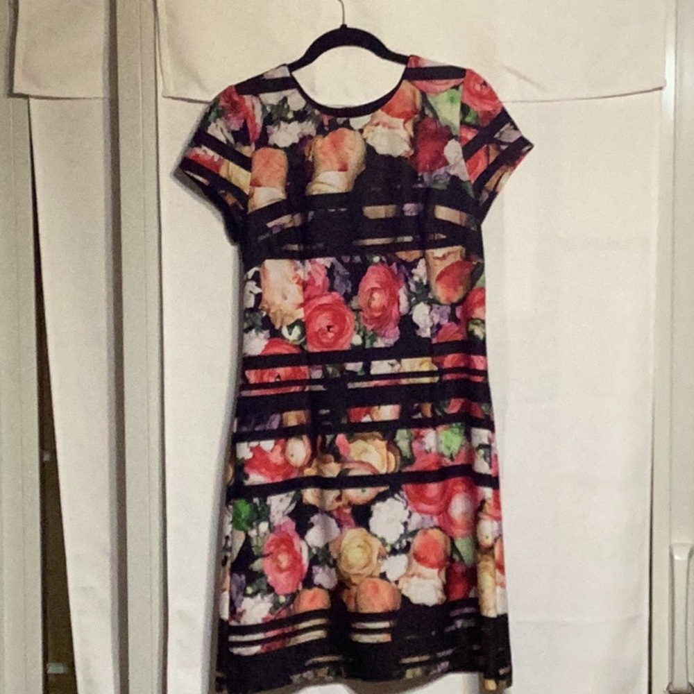 Adrianna Papell Pink and Orange Floral Sheath Mini Dress Size 10